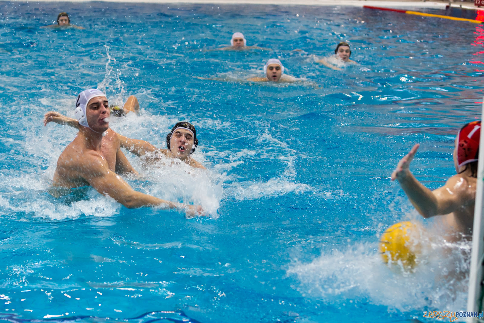 Malta Waterpolo Cup Foto: lepszyPOZNAN.pl/Piotr Rychter Malta Waterpolo Cup Foto: lepszyPOZNAN.pl/Piotr Rychter