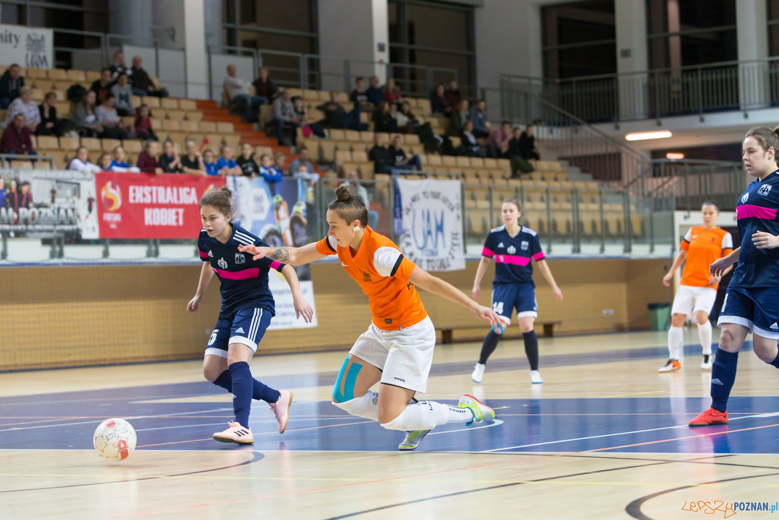 KU AZS UAM Poznań – AZS AWF Warszawa Foto: lepszyPOZNAN.pl/Piotr Rychter KU AZS UAM Poznań – AZS AWF Warszawa Foto: lepszyPOZNAN.pl/Piotr Rychter