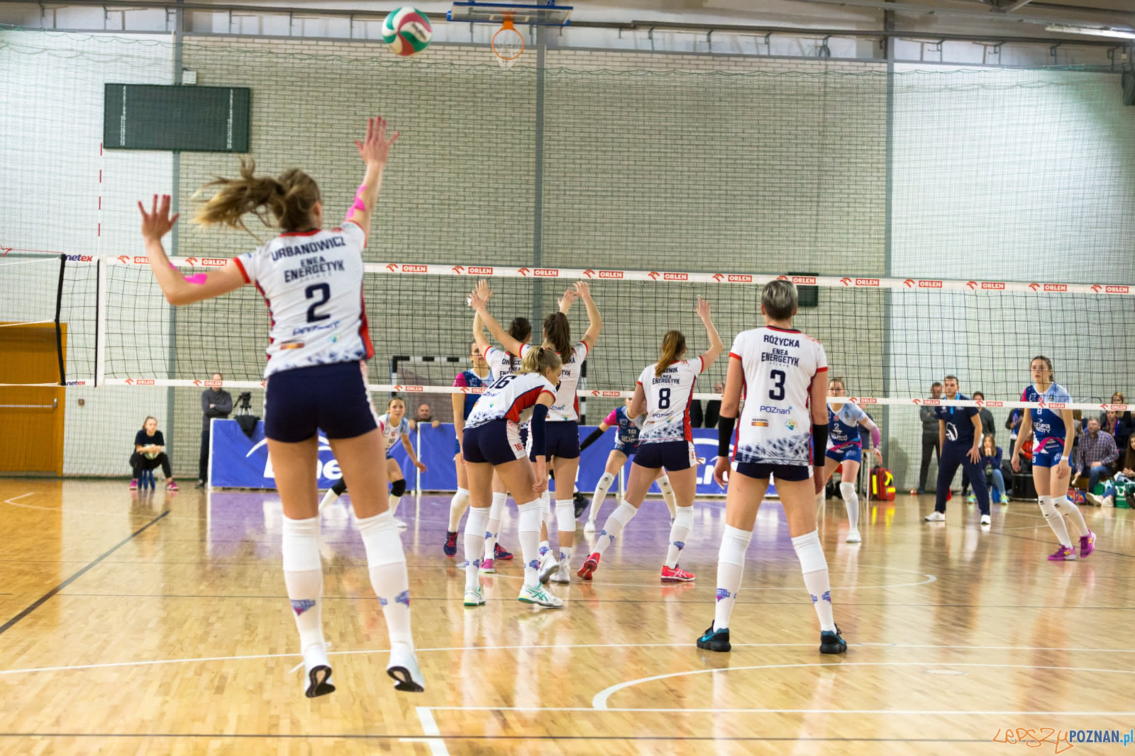 Enea Energetyk Poznań - Grupa Azoty PWSZ Tarnów Foto: lepszyPOZNAN.pl/Piotr Rychter Enea Energetyk Poznań - Grupa Azoty PWSZ Tarnów Foto: lepszyPOZNAN.pl/Piotr Rychter