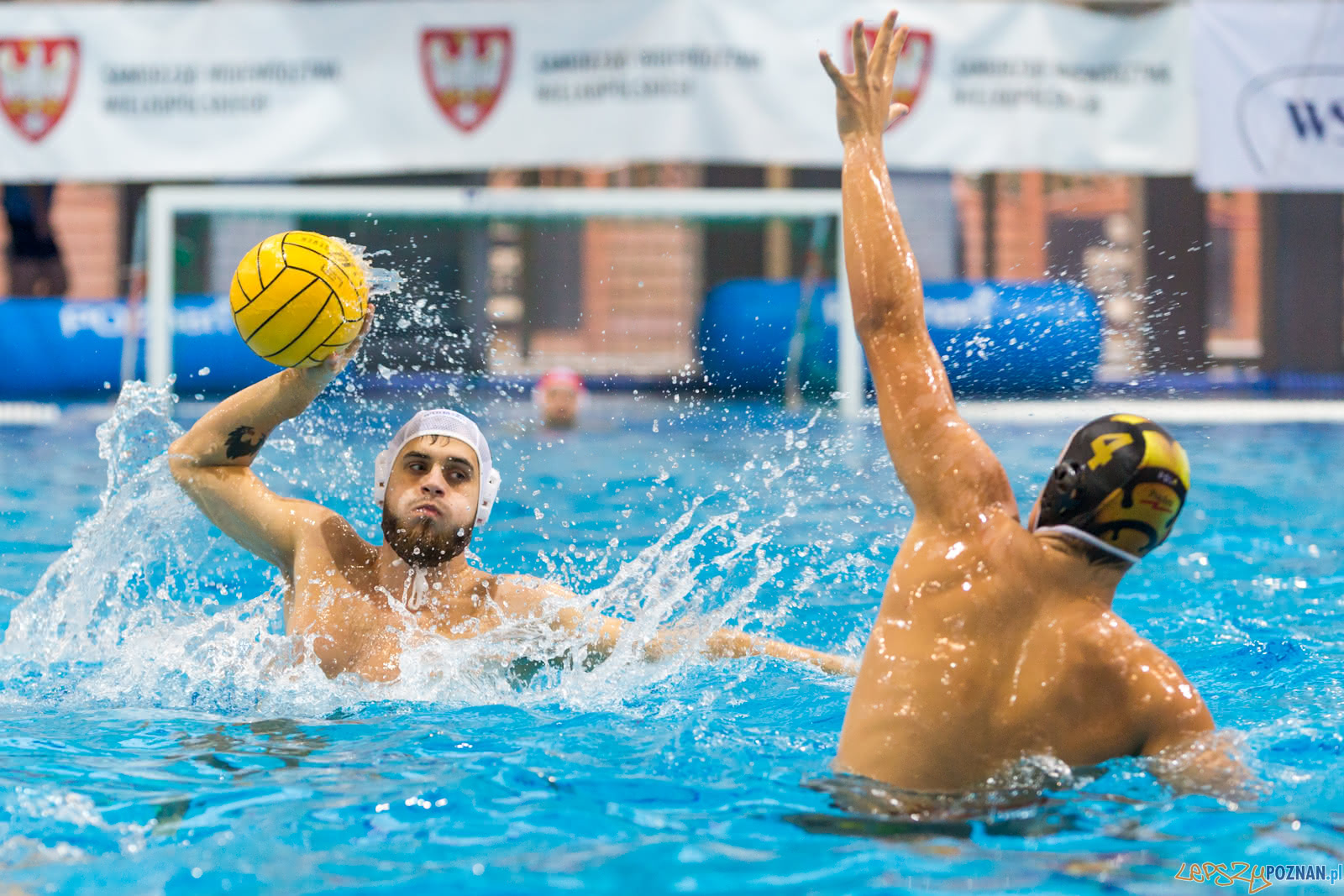 Malta Waterpolo Cup Foto: lepszyPOZNAN.pl/Piotr Rychter Malta Waterpolo Cup Foto: lepszyPOZNAN.pl/Piotr Rychter
