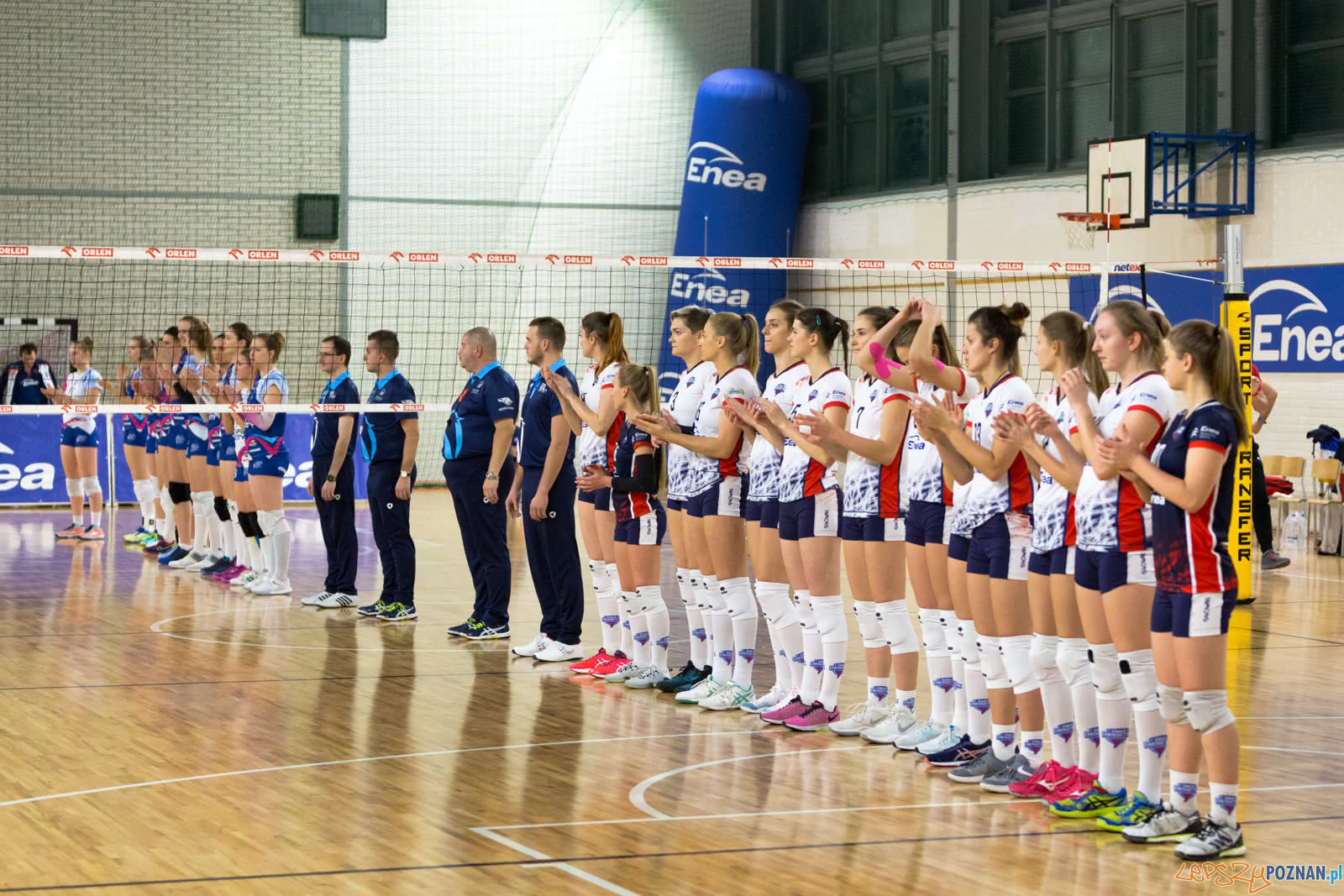 Enea Energetyk Poznań - Grupa Azoty PWSZ Tarnów Foto: lepszyPOZNAN.pl/Piotr Rychter Enea Energetyk Poznań - Grupa Azoty PWSZ Tarnów Foto: lepszyPOZNAN.pl/Piotr Rychter