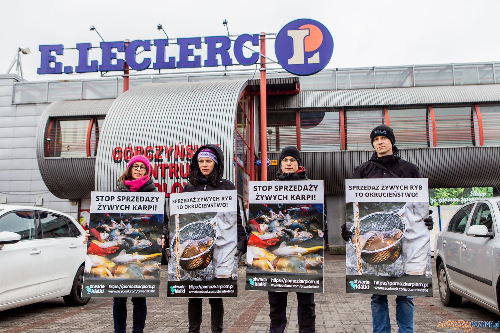 Ptotest przeciw sprzedaży żywych karpii Foto: Otwarte Klatki / materiały prasowe Ptotest przeciw sprzedaży żywych karpii Foto: Otwarte Klatki / materiały prasowe