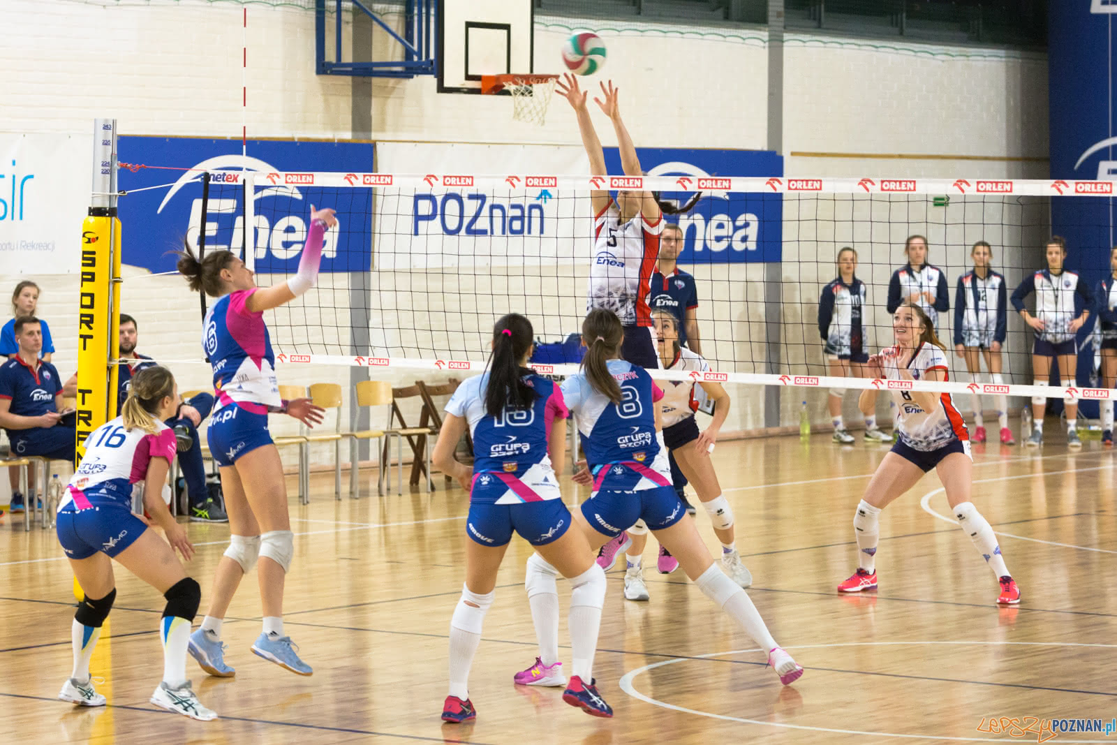 Enea Energetyk Poznań - Grupa Azoty PWSZ Tarnów Foto: lepszyPOZNAN.pl/Piotr Rychter Enea Energetyk Poznań - Grupa Azoty PWSZ Tarnów Foto: lepszyPOZNAN.pl/Piotr Rychter