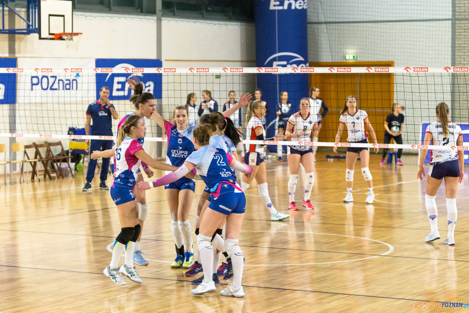 Enea Energetyk Poznań - Grupa Azoty PWSZ Tarnów Foto: lepszyPOZNAN.pl/Piotr Rychter Enea Energetyk Poznań - Grupa Azoty PWSZ Tarnów Foto: lepszyPOZNAN.pl/Piotr Rychter