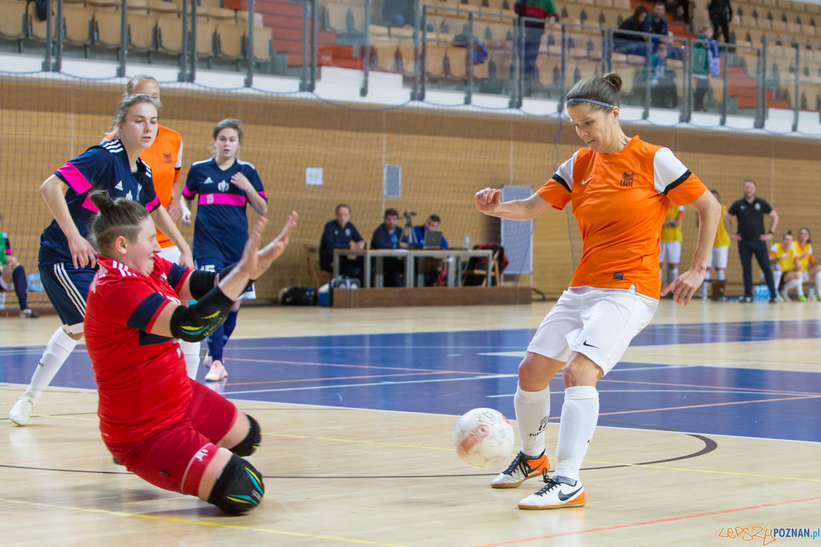 KU AZS UAM Poznań – AZS AWF Warszawa Foto: lepszyPOZNAN.pl/Piotr Rychter KU AZS UAM Poznań – AZS AWF Warszawa Foto: lepszyPOZNAN.pl/Piotr Rychter