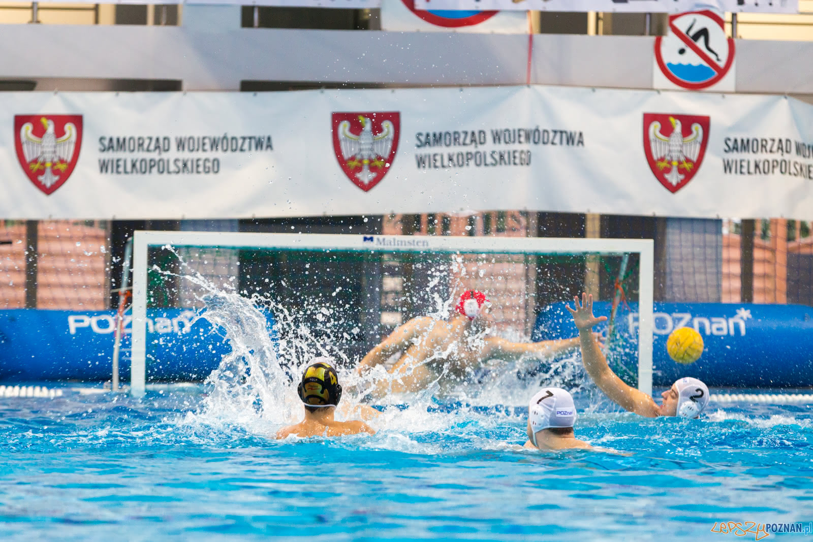 Malta Waterpolo Cup Foto: lepszyPOZNAN.pl/Piotr Rychter Malta Waterpolo Cup Foto: lepszyPOZNAN.pl/Piotr Rychter