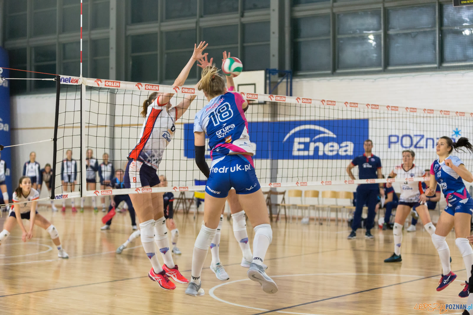 Enea Energetyk Poznań - Grupa Azoty PWSZ Tarnów Foto: lepszyPOZNAN.pl/Piotr Rychter Enea Energetyk Poznań - Grupa Azoty PWSZ Tarnów Foto: lepszyPOZNAN.pl/Piotr Rychter