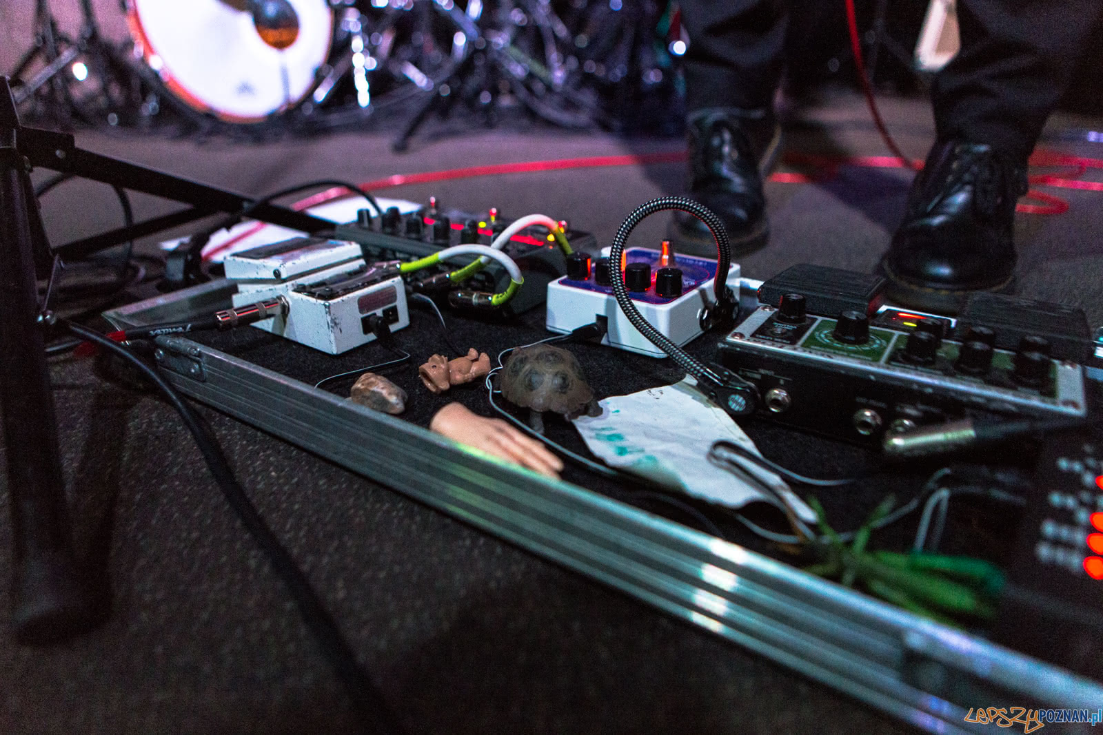 Król zagrał w klubie Blue Note - Poznań 3.12.2018 r. Foto: LepszyPOZNAN.pl / Paweł Rychter Król zagrał w klubie Blue Note - Poznań 3.12.2018 r. Foto: LepszyPOZNAN.pl / Paweł Rychter