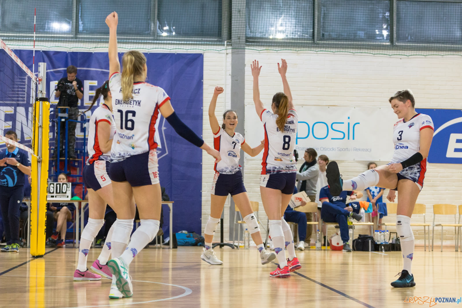 Enea Energetyk Poznań - Grupa Azoty PWSZ Tarnów Foto: lepszyPOZNAN.pl/Piotr Rychter Enea Energetyk Poznań - Grupa Azoty PWSZ Tarnów Foto: lepszyPOZNAN.pl/Piotr Rychter