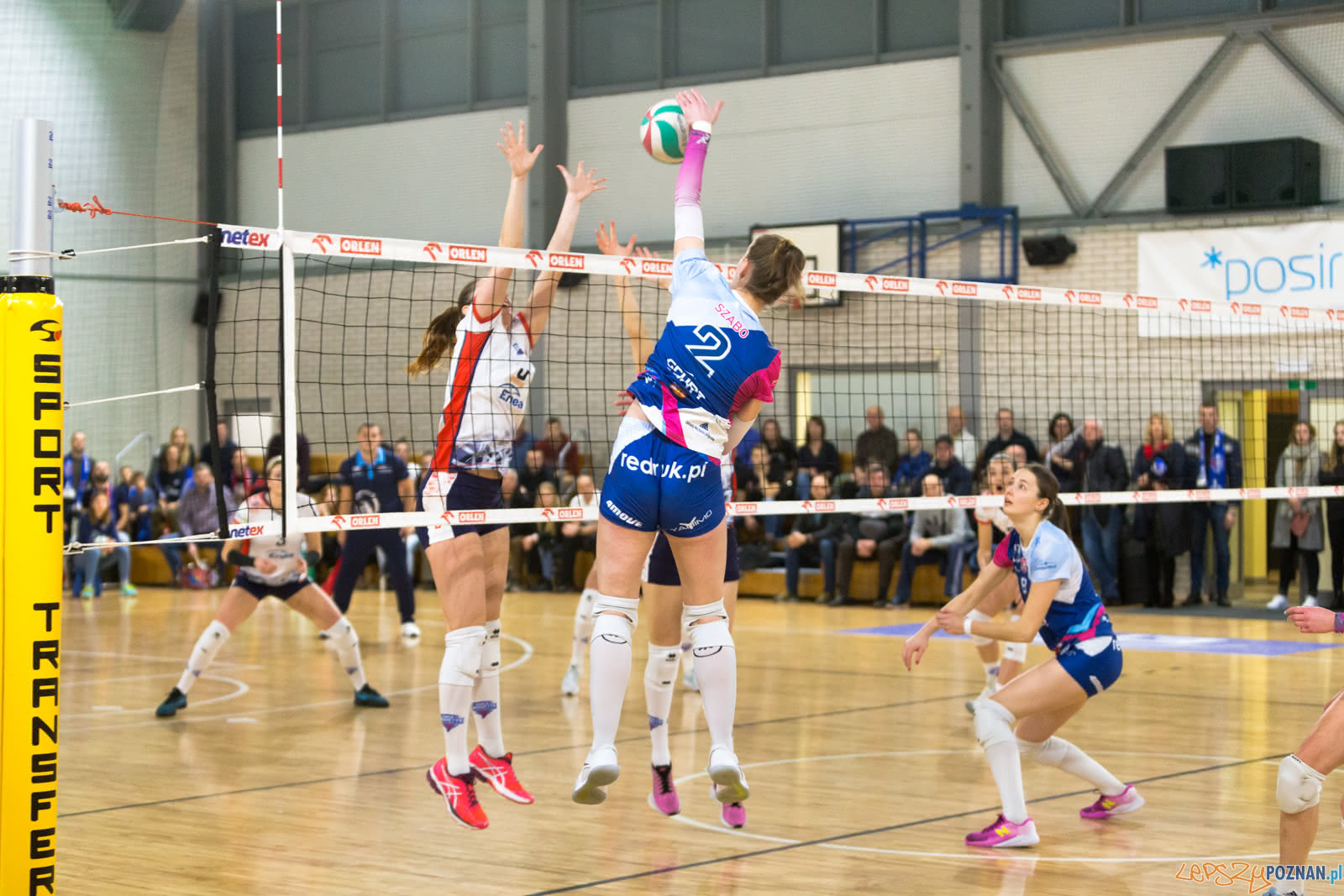 Enea Energetyk Poznań - Grupa Azoty PWSZ Tarnów Foto: lepszyPOZNAN.pl/Piotr Rychter Enea Energetyk Poznań - Grupa Azoty PWSZ Tarnów Foto: lepszyPOZNAN.pl/Piotr Rychter