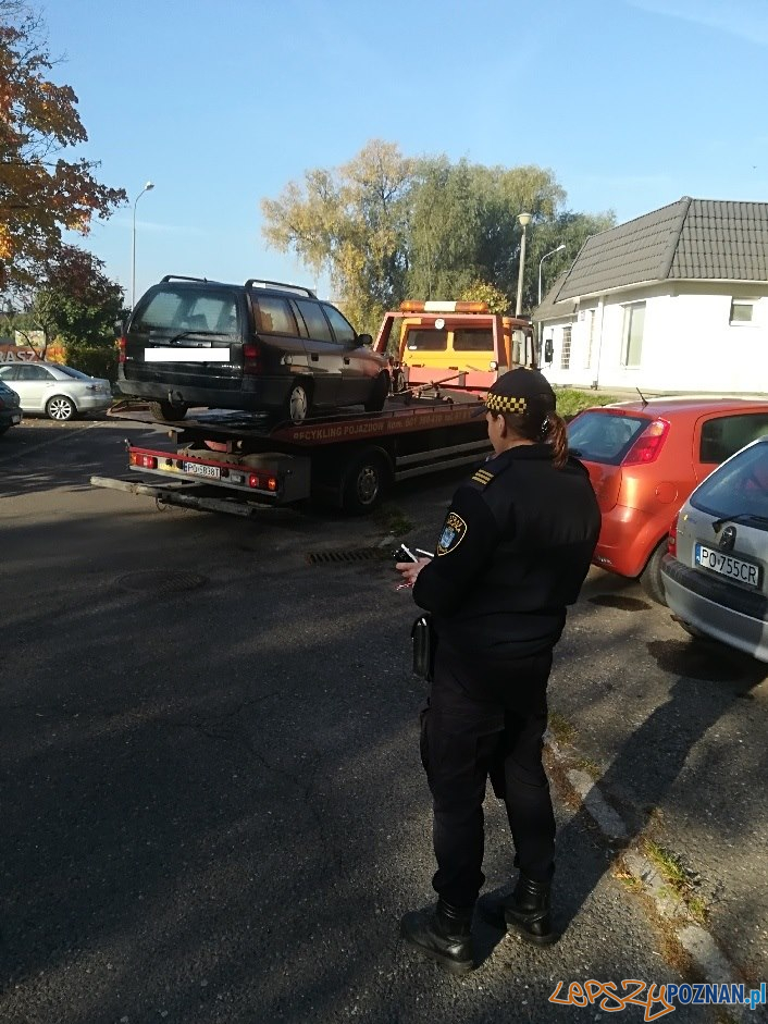 Straż Miejska odholowuje nieprawidłowo zaparkowane auta Foto: Straż Miejska Straż Miejska odholowuje nieprawidłowo zaparkowane auta Foto: Straż Miejska