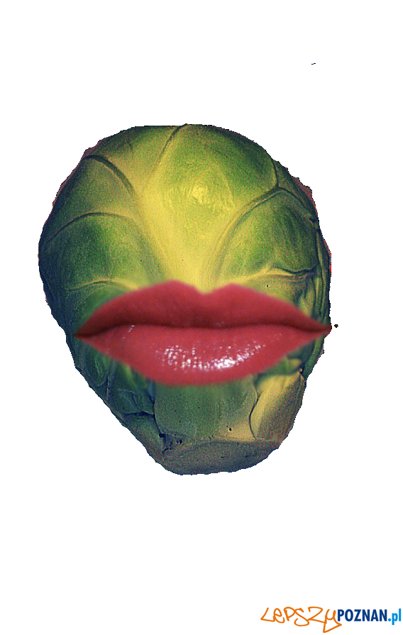 Jakub Paprocki - Brukselka Foto: Galeria FWD / materiały prasowe Jakub Paprocki - Brukselka Foto: Galeria FWD / materiały prasowe