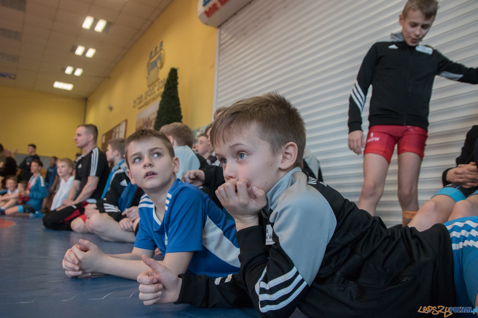 VII Memoriał Bogdana Brody - Zapasy Styl Klasyczny/Zapasy Kobie Foto: lepszyPOZNAN.pl / Ewelina Jaśkowiak VII Memoriał Bogdana Brody - Zapasy Styl Klasyczny/Zapasy Kobie Foto: lepszyPOZNAN.pl / Ewelina Jaśkowiak