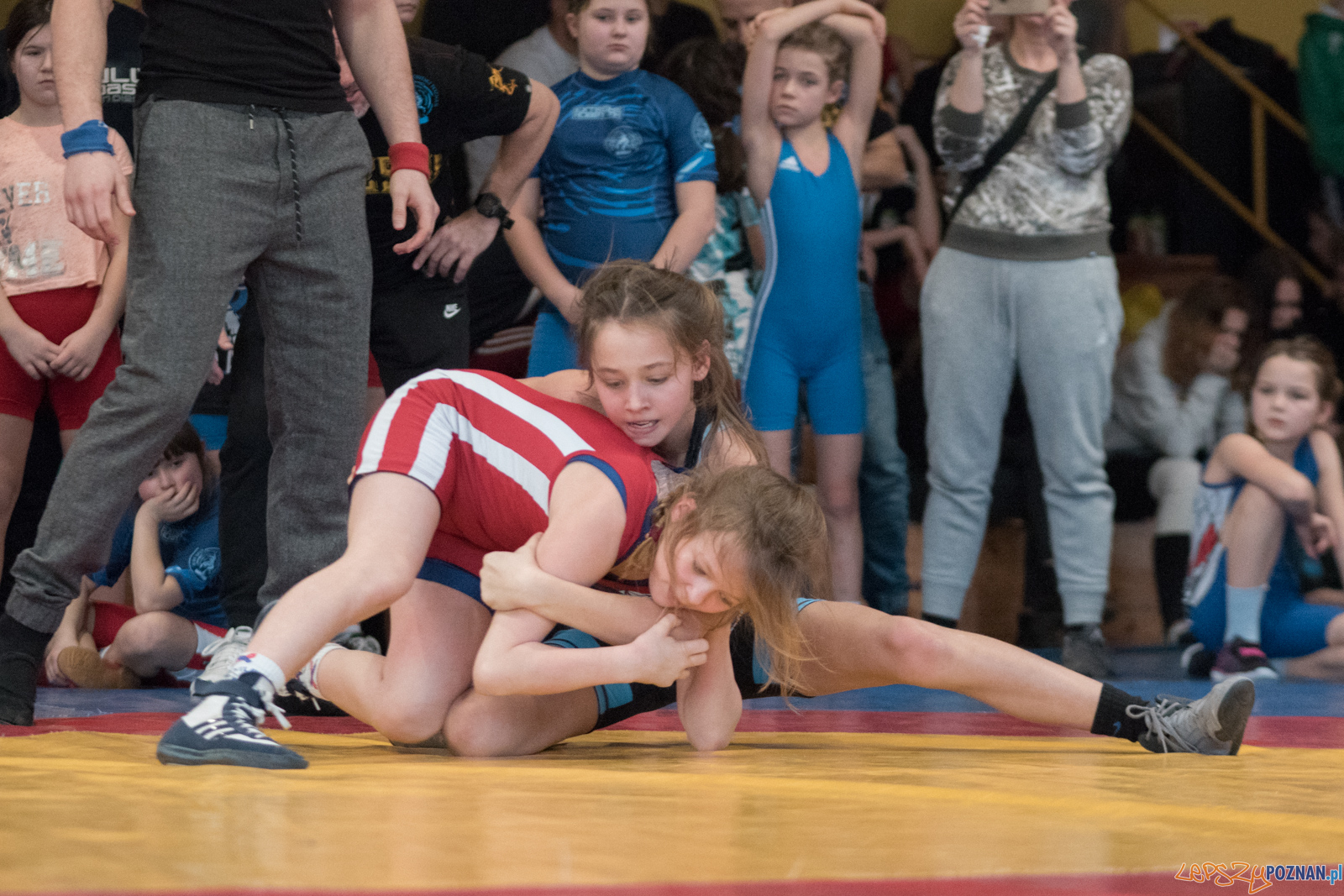 VII Memoriał Bogdana Brody - Zapasy Styl Klasyczny/Zapasy Kobie Foto: lepszyPOZNAN.pl / Ewelina Jaśkowiak VII Memoriał Bogdana Brody - Zapasy Styl Klasyczny/Zapasy Kobie Foto: lepszyPOZNAN.pl / Ewelina Jaśkowiak