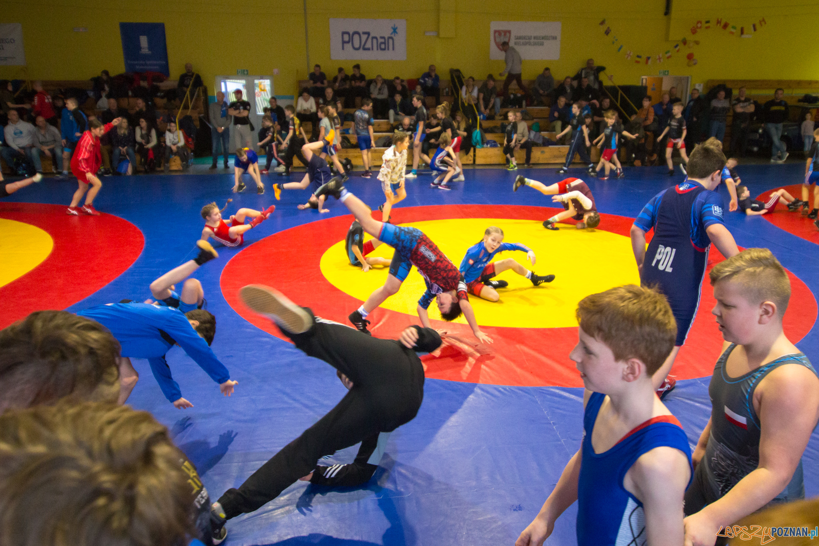 Mistrzostwa Miasta Poznania - VII Memoriał Bogdana Brody Foto: lepszyPOZNAN.pl/Piotr Rychter Mistrzostwa Miasta Poznania - VII Memoriał Bogdana Brody Foto: lepszyPOZNAN.pl/Piotr Rychter