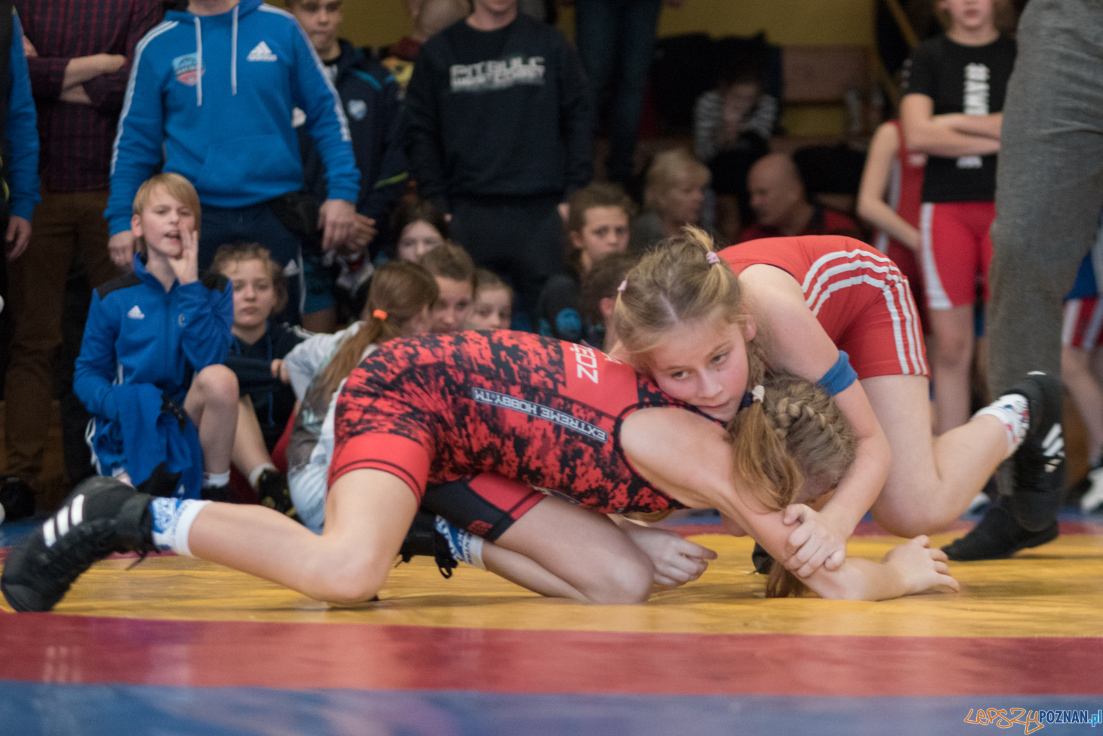 VII Memoriał Bogdana Brody - Zapasy Styl Klasyczny/Zapasy Kobie Foto: lepszyPOZNAN.pl / Ewelina Jaśkowiak VII Memoriał Bogdana Brody - Zapasy Styl Klasyczny/Zapasy Kobie Foto: lepszyPOZNAN.pl / Ewelina Jaśkowiak