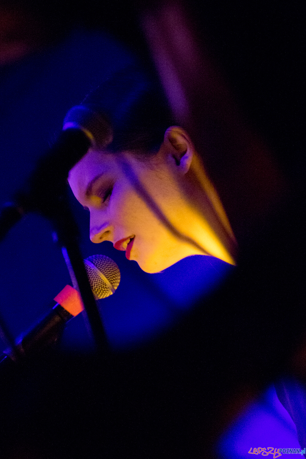 Swiernalis Foto: lepszyPOZNAN.pl / Ewelina Jaśkowiak Swiernalis Foto: lepszyPOZNAN.pl / Ewelina Jaśkowiak