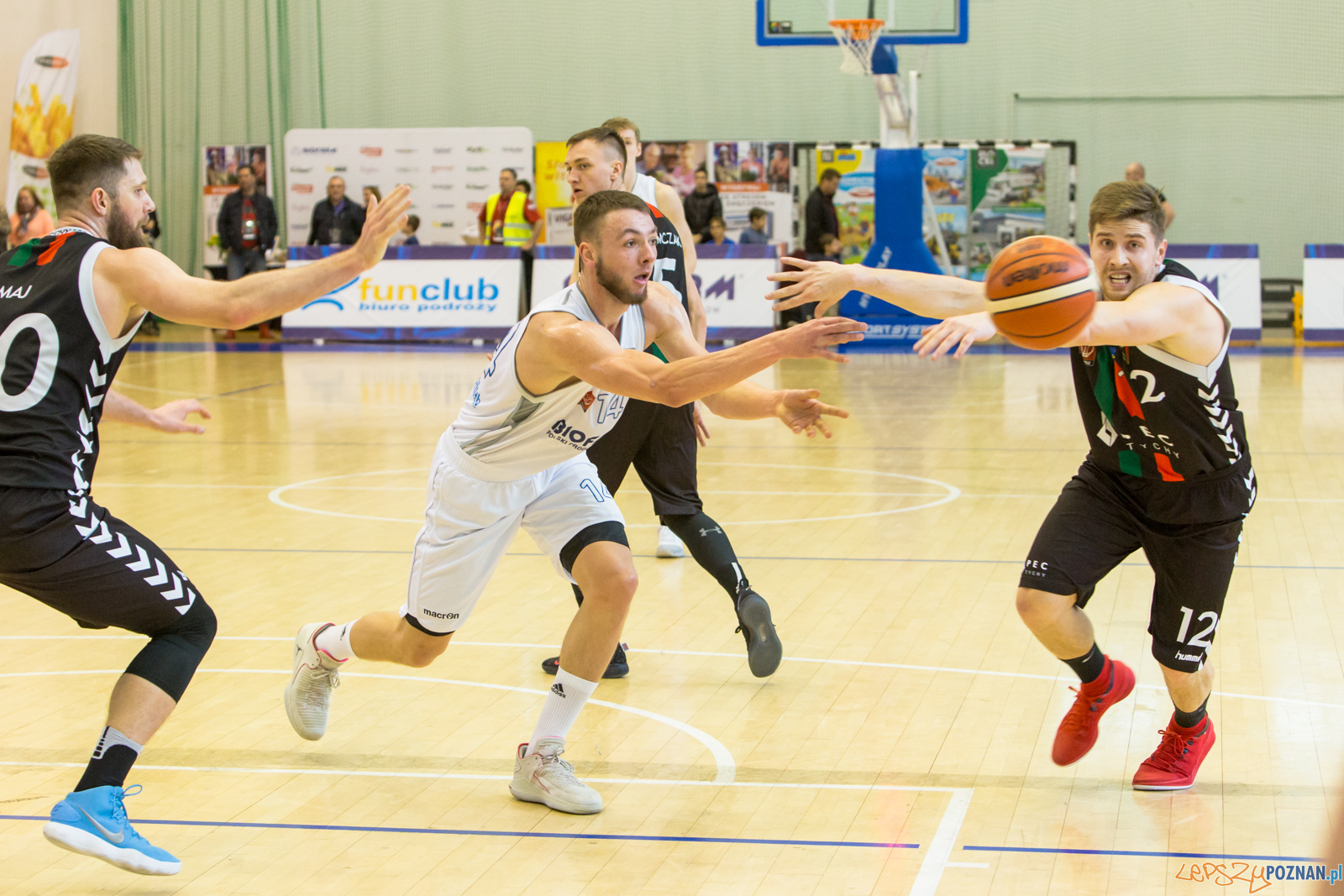 Biofarm Basket Poznań - GKS Tychy Foto: lepszyPOZNAN.pl/Piotr Rychter Biofarm Basket Poznań - GKS Tychy Foto: lepszyPOZNAN.pl/Piotr Rychter