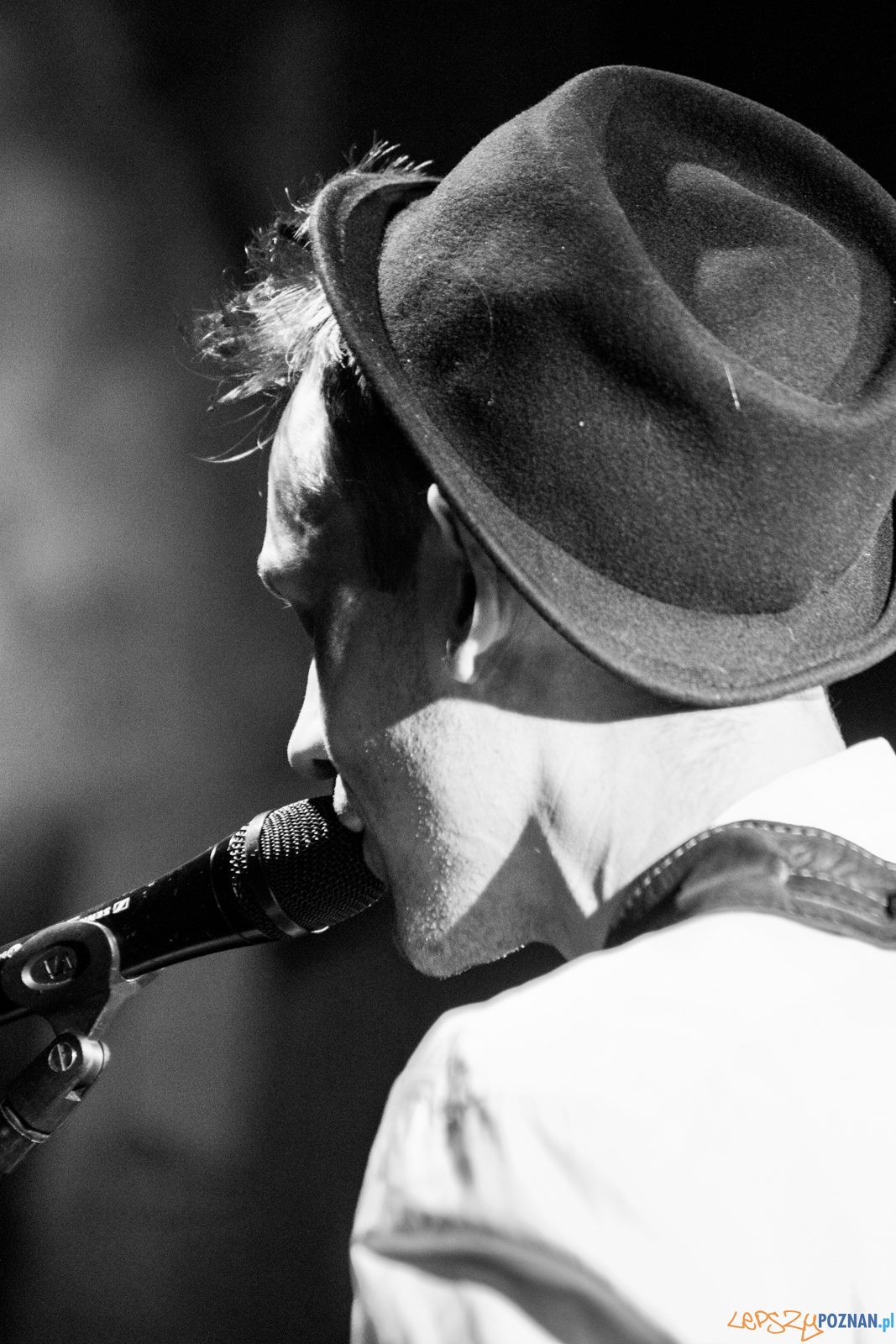 Swiernalis Foto: lepszyPOZNAN.pl / Ewelina Jaśkowiak Swiernalis Foto: lepszyPOZNAN.pl / Ewelina Jaśkowiak