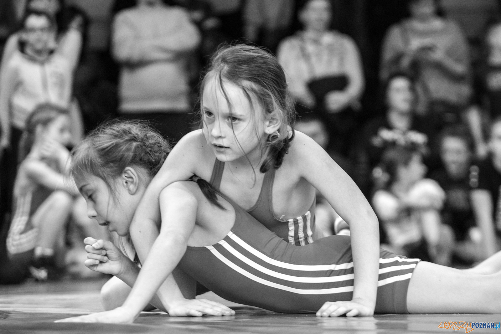 VII Memoriał Bogdana Brody - Zapasy Styl Klasyczny/Zapasy Kobie Foto: lepszyPOZNAN.pl / Ewelina Jaśkowiak VII Memoriał Bogdana Brody - Zapasy Styl Klasyczny/Zapasy Kobie Foto: lepszyPOZNAN.pl / Ewelina Jaśkowiak