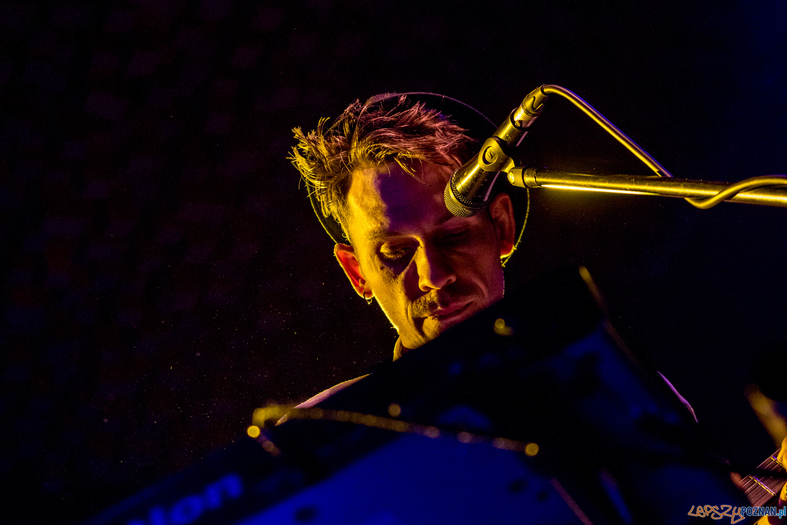 Swiernalis Foto: lepszyPOZNAN.pl / Ewelina Jaśkowiak Swiernalis Foto: lepszyPOZNAN.pl / Ewelina Jaśkowiak