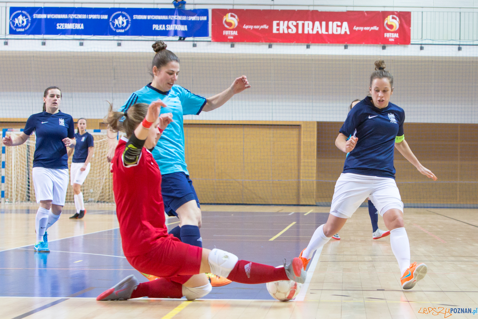 AZS UAM Poznań – Gol Częstochowa Foto: lepszyPOZNAN.pl/Piotr Rychter AZS UAM Poznań – Gol Częstochowa Foto: lepszyPOZNAN.pl/Piotr Rychter