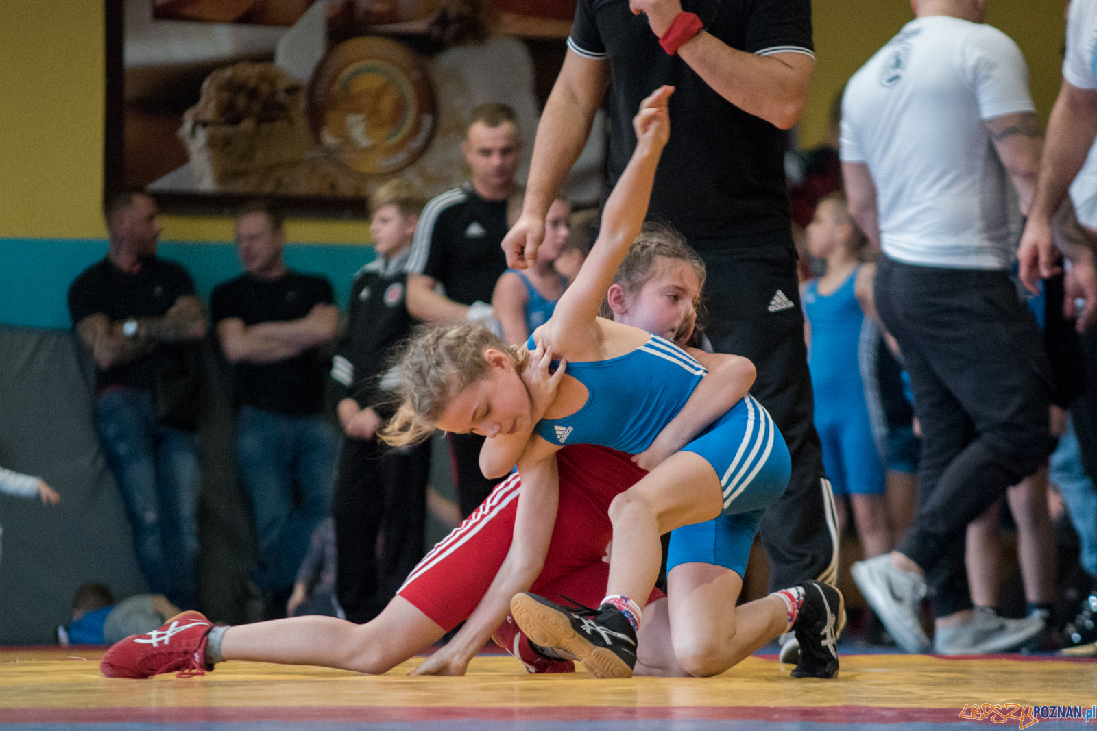 VII Memoriał Bogdana Brody - Zapasy Styl Klasyczny/Zapasy Kobie Foto: lepszyPOZNAN.pl / Ewelina Jaśkowiak VII Memoriał Bogdana Brody - Zapasy Styl Klasyczny/Zapasy Kobie Foto: lepszyPOZNAN.pl / Ewelina Jaśkowiak