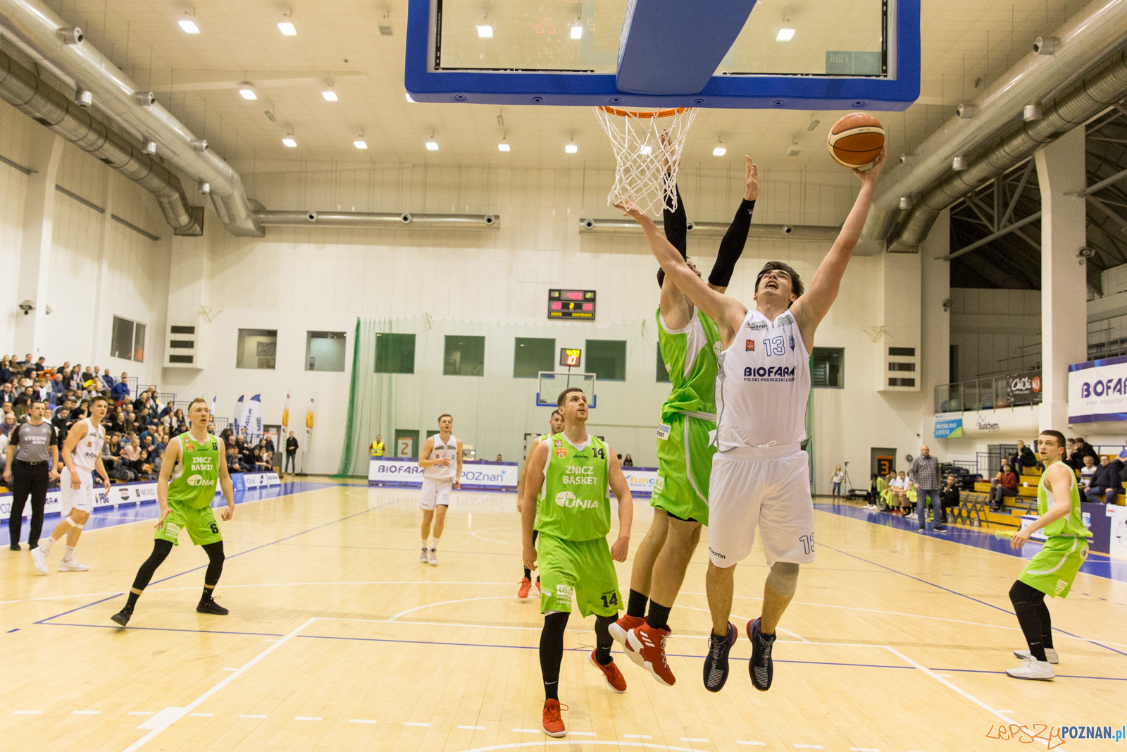 Biofarm Basket Poznań – Elektrobud-Investment ZB Pruszkow 45: Foto: LepszyPOZNAN.pl / Paweł Rychter Biofarm Basket Poznań – Elektrobud-Investment ZB Pruszkow 45: Foto: LepszyPOZNAN.pl / Paweł Rychter