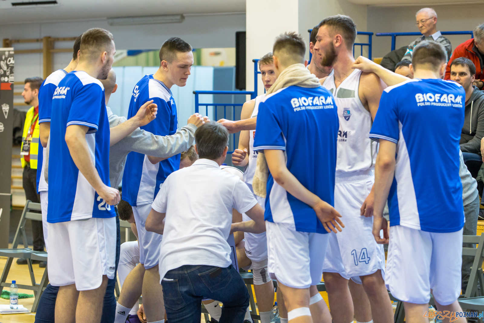 Biofarm Basket Poznań - GKS Tychy Foto: lepszyPOZNAN.pl/Piotr Rychter Biofarm Basket Poznań - GKS Tychy Foto: lepszyPOZNAN.pl/Piotr Rychter