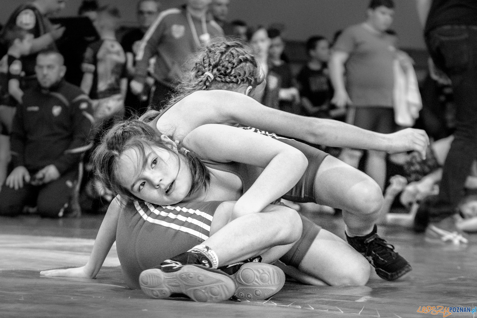 VII Memoriał Bogdana Brody - Zapasy Styl Klasyczny/Zapasy Kobie Foto: lepszyPOZNAN.pl / Ewelina Jaśkowiak VII Memoriał Bogdana Brody - Zapasy Styl Klasyczny/Zapasy Kobie Foto: lepszyPOZNAN.pl / Ewelina Jaśkowiak