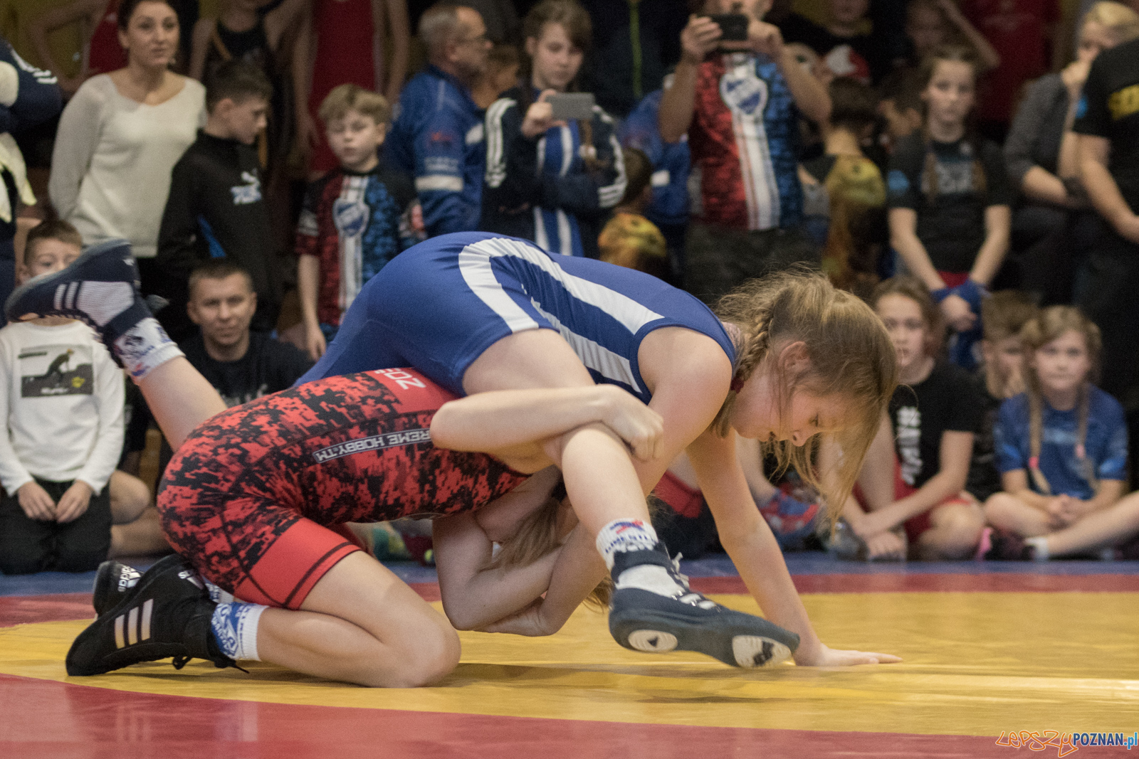 VII Memoriał Bogdana Brody - Zapasy Styl Klasyczny/Zapasy Kobie Foto: lepszyPOZNAN.pl / Ewelina Jaśkowiak VII Memoriał Bogdana Brody - Zapasy Styl Klasyczny/Zapasy Kobie Foto: lepszyPOZNAN.pl / Ewelina Jaśkowiak