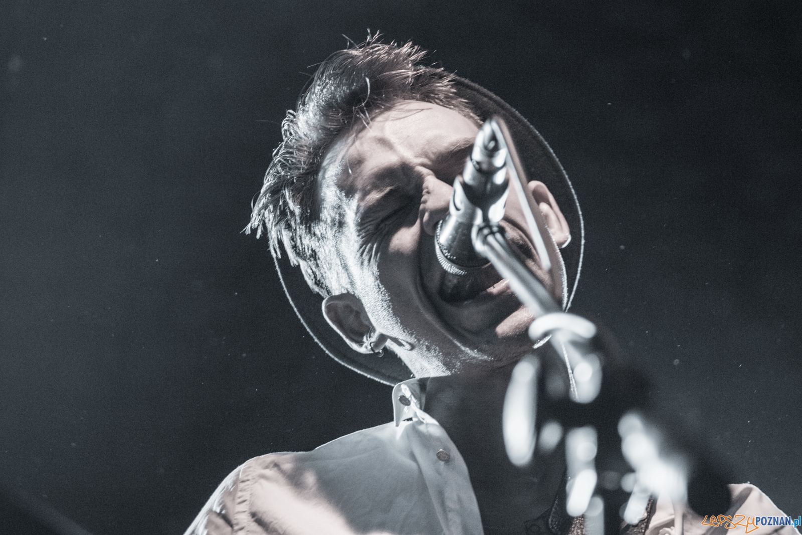 Swiernalis Foto: lepszyPOZNAN.pl / Ewelina Jaśkowiak Swiernalis Foto: lepszyPOZNAN.pl / Ewelina Jaśkowiak