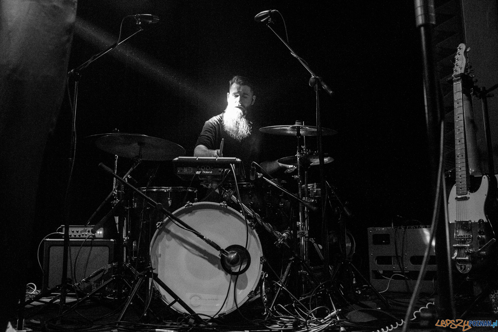 Swiernalis Foto: lepszyPOZNAN.pl / Ewelina Jaśkowiak Swiernalis Foto: lepszyPOZNAN.pl / Ewelina Jaśkowiak