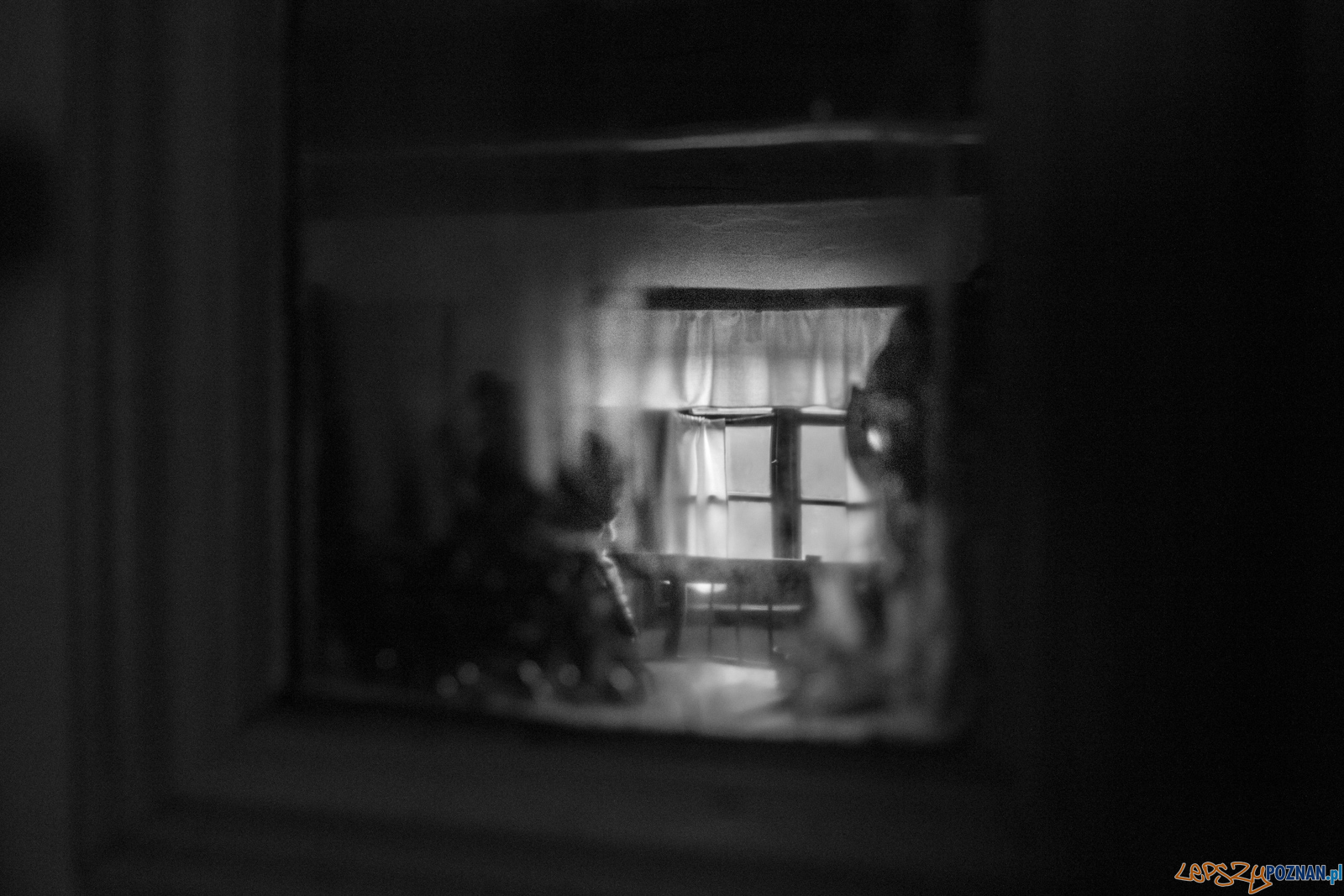 Obrazy z życia Powstańców Dziekanowice Foto: lepszyPOZNAN.pl / Ewelina Jaśkowiak Obrazy z życia Powstańców Dziekanowice Foto: lepszyPOZNAN.pl / Ewelina Jaśkowiak