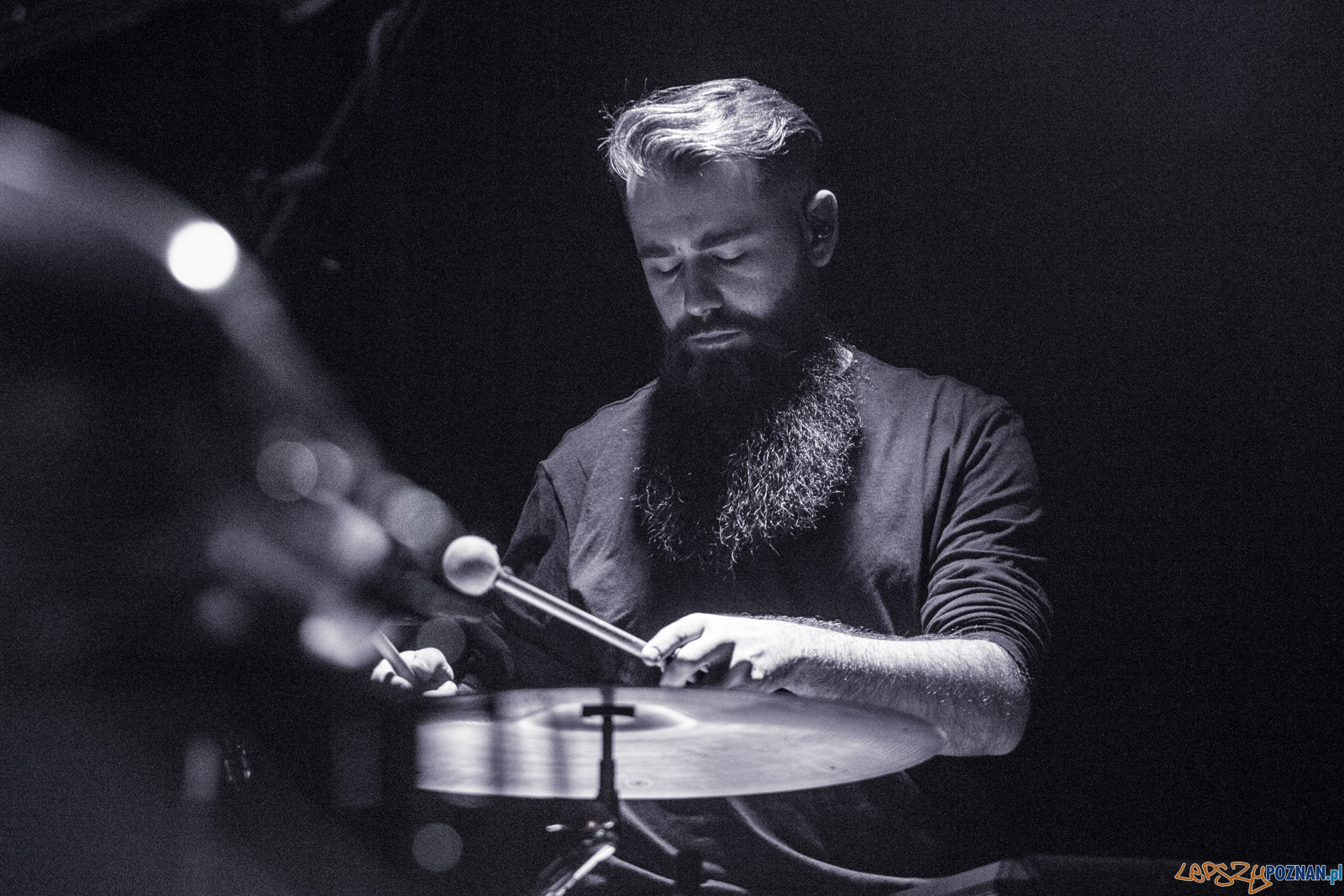 Swiernalis Foto: lepszyPOZNAN.pl / Ewelina Jaśkowiak Swiernalis Foto: lepszyPOZNAN.pl / Ewelina Jaśkowiak