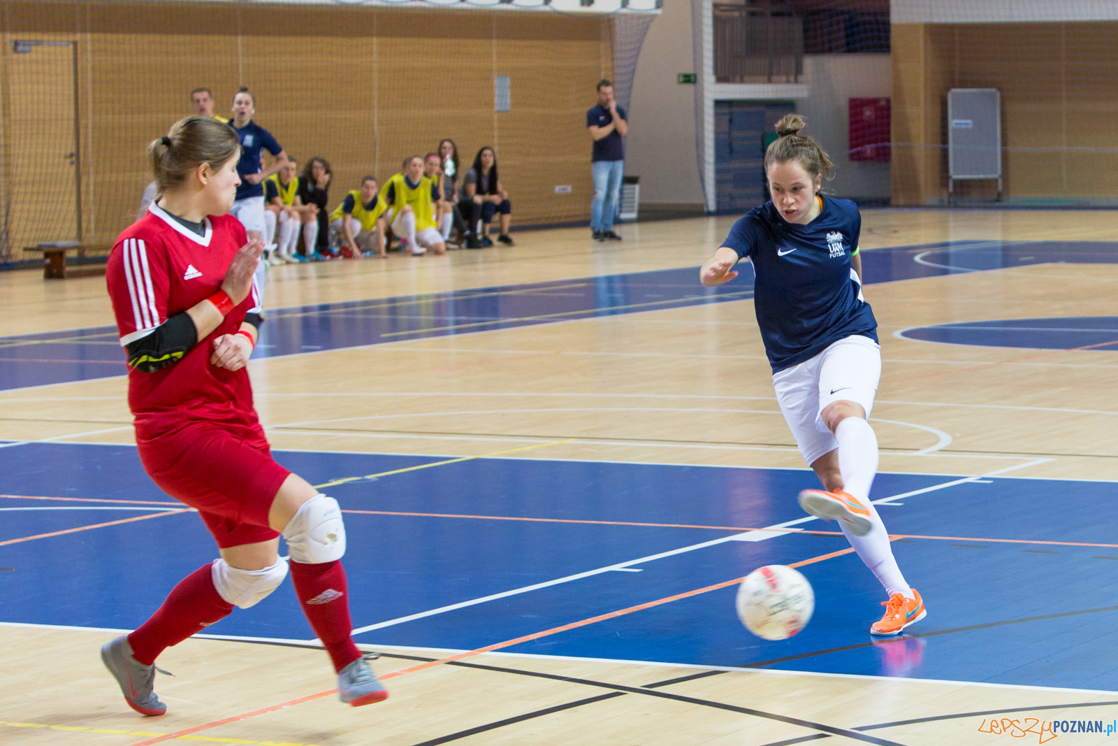 AZS UAM Poznań – Gol Częstochowa Foto: lepszyPOZNAN.pl/Piotr Rychter AZS UAM Poznań – Gol Częstochowa Foto: lepszyPOZNAN.pl/Piotr Rychter