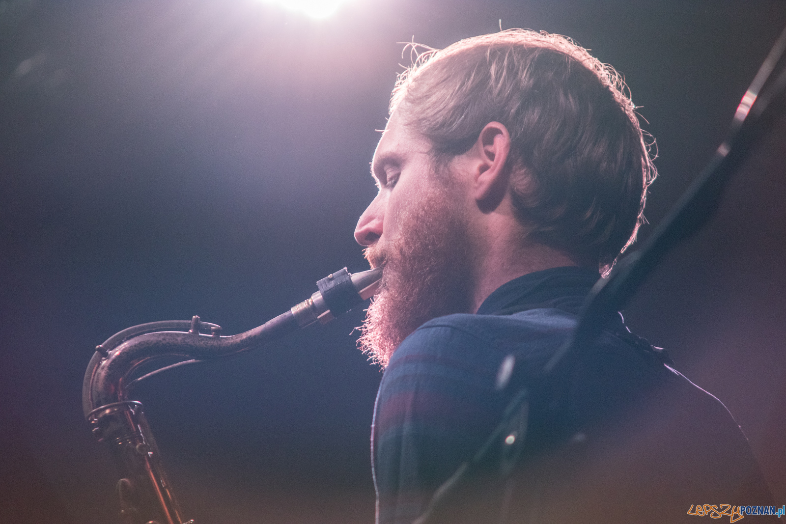 Mozaik Foto: lepszyPOZNAN.pl / Ewelina Jaśkowiak Mozaik Foto: lepszyPOZNAN.pl / Ewelina Jaśkowiak