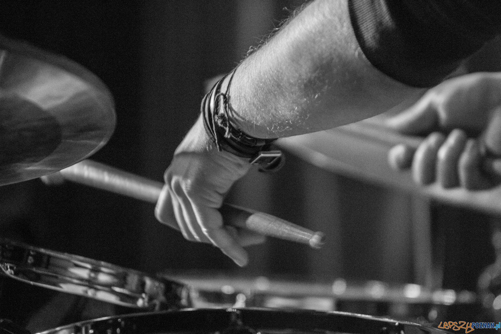 Mozaik Foto: lepszyPOZNAN.pl / Ewelina Jaśkowiak Mozaik Foto: lepszyPOZNAN.pl / Ewelina Jaśkowiak