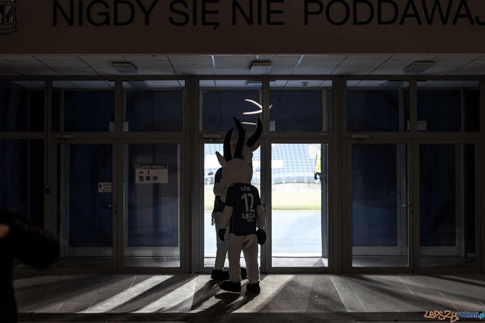 Pierwszy gwizdek na Stadionie Poznań Foto: lepszyPOZNAN.pl/Piotr Rychter Pierwszy gwizdek na Stadionie Poznań Foto: lepszyPOZNAN.pl/Piotr Rychter