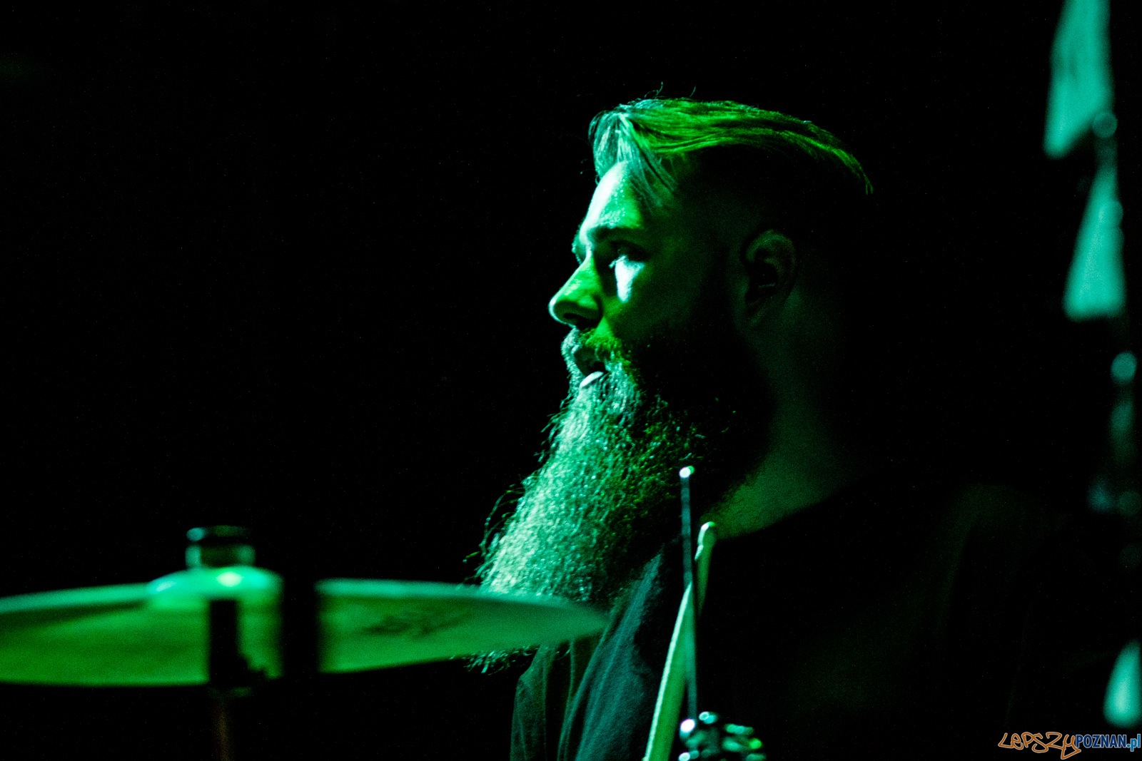 Swiernalis Foto: lepszyPOZNAN.pl / Ewelina Jaśkowiak Swiernalis Foto: lepszyPOZNAN.pl / Ewelina Jaśkowiak