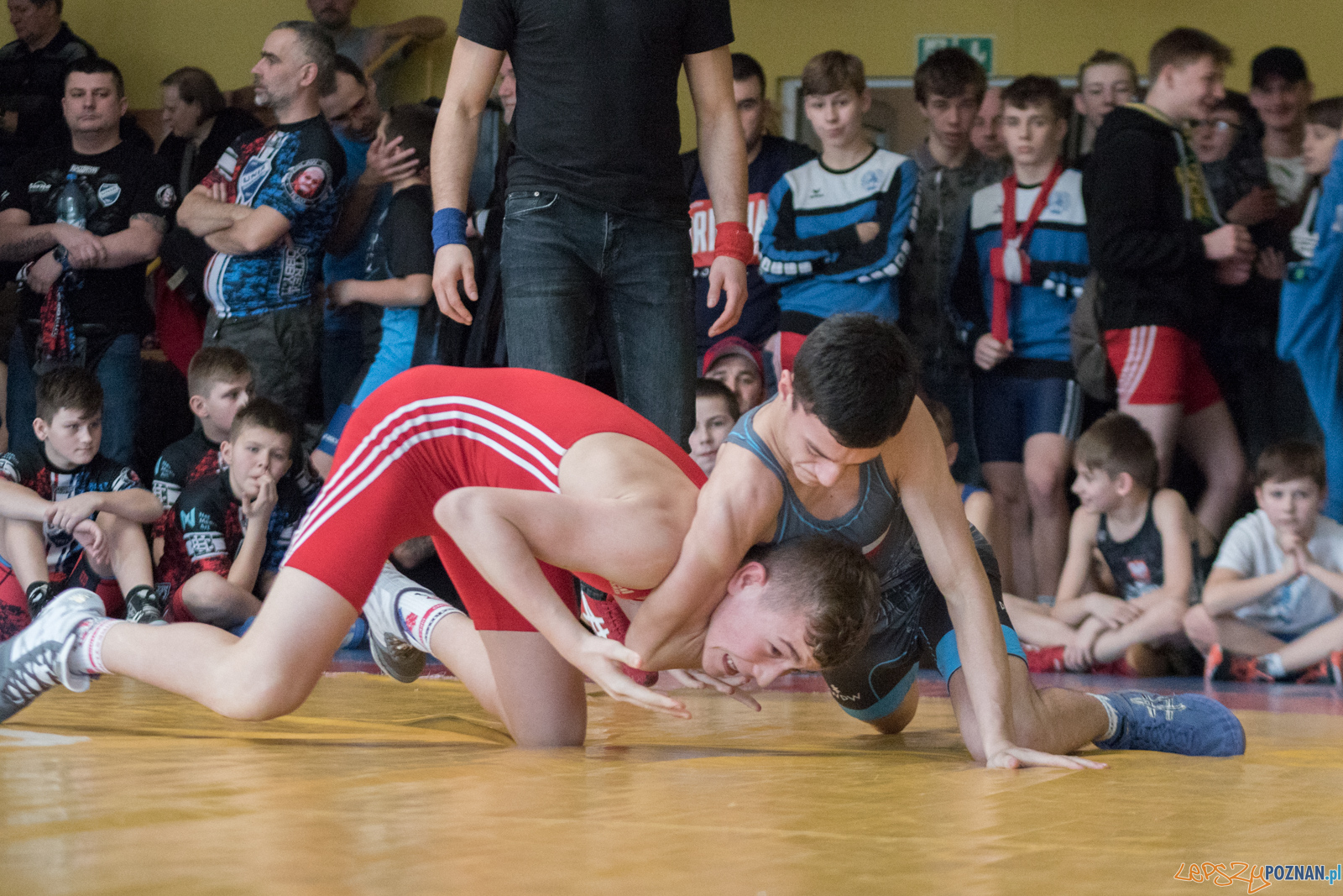 VII Memoriał Bogdana Brody - Zapasy Styl Klasyczny/Zapasy Kobie Foto: lepszyPOZNAN.pl / Ewelina Jaśkowiak VII Memoriał Bogdana Brody - Zapasy Styl Klasyczny/Zapasy Kobie Foto: lepszyPOZNAN.pl / Ewelina Jaśkowiak