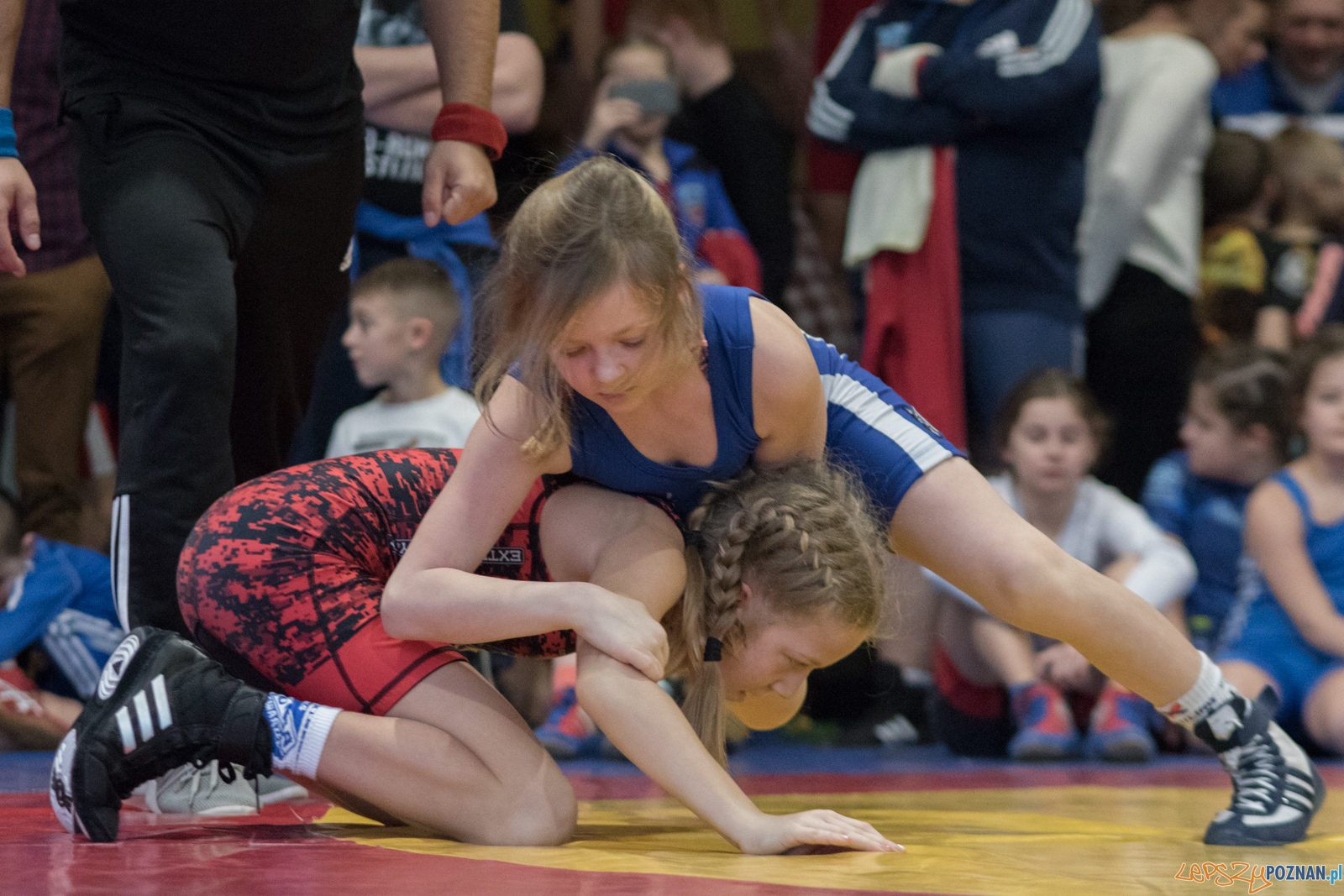 VII Memoriał Bogdana Brody - Zapasy Styl Klasyczny/Zapasy Kobie Foto: lepszyPOZNAN.pl / Ewelina Jaśkowiak VII Memoriał Bogdana Brody - Zapasy Styl Klasyczny/Zapasy Kobie Foto: lepszyPOZNAN.pl / Ewelina Jaśkowiak