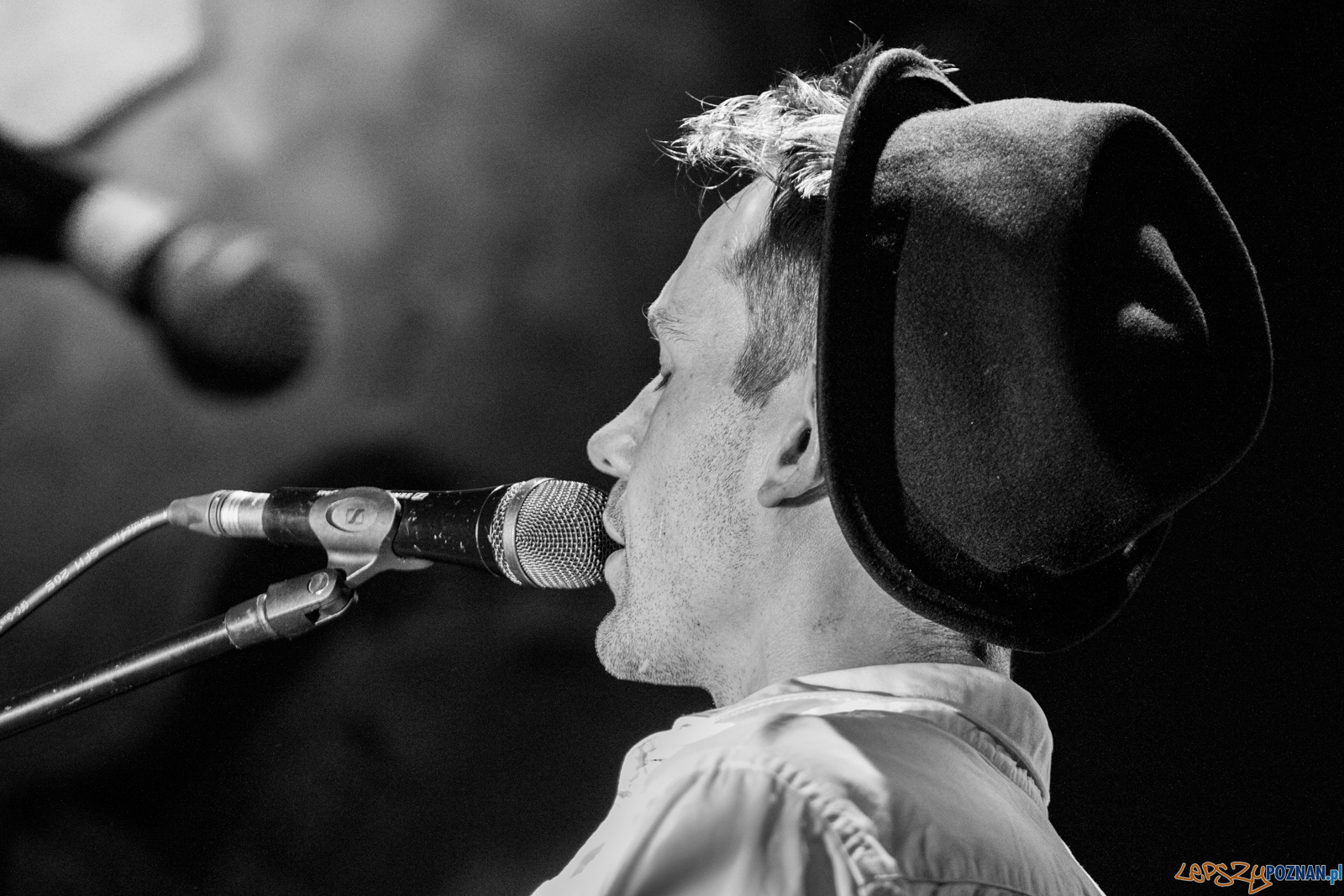 Swiernalis Foto: lepszyPOZNAN.pl / Ewelina Jaśkowiak Swiernalis Foto: lepszyPOZNAN.pl / Ewelina Jaśkowiak