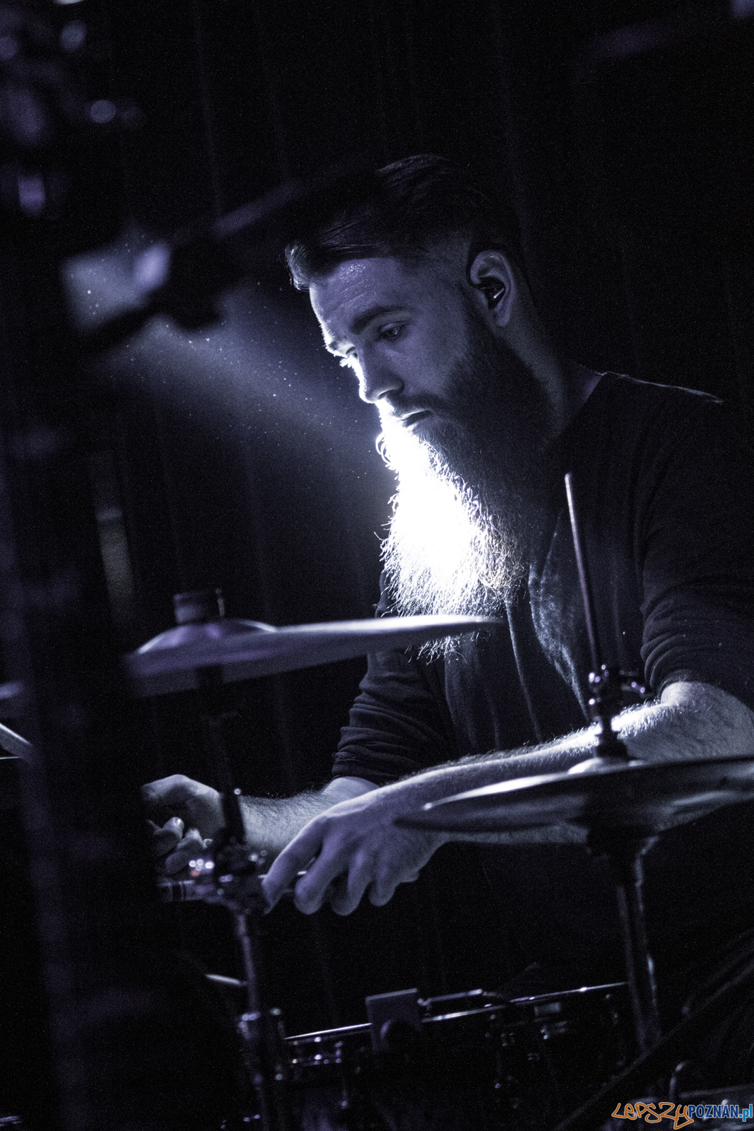 Swiernalis Foto: lepszyPOZNAN.pl / Ewelina Jaśkowiak Swiernalis Foto: lepszyPOZNAN.pl / Ewelina Jaśkowiak