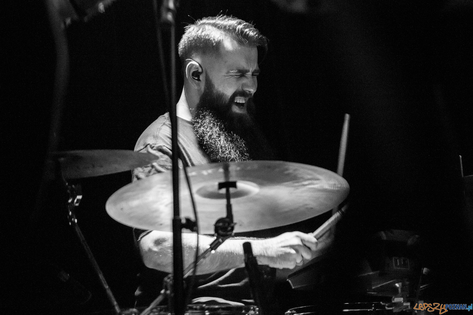 Swiernalis Foto: lepszyPOZNAN.pl / Ewelina Jaśkowiak Swiernalis Foto: lepszyPOZNAN.pl / Ewelina Jaśkowiak