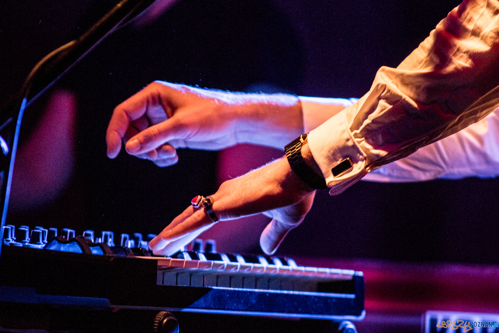 Swiernalis Foto: lepszyPOZNAN.pl / Ewelina Jaśkowiak Swiernalis Foto: lepszyPOZNAN.pl / Ewelina Jaśkowiak