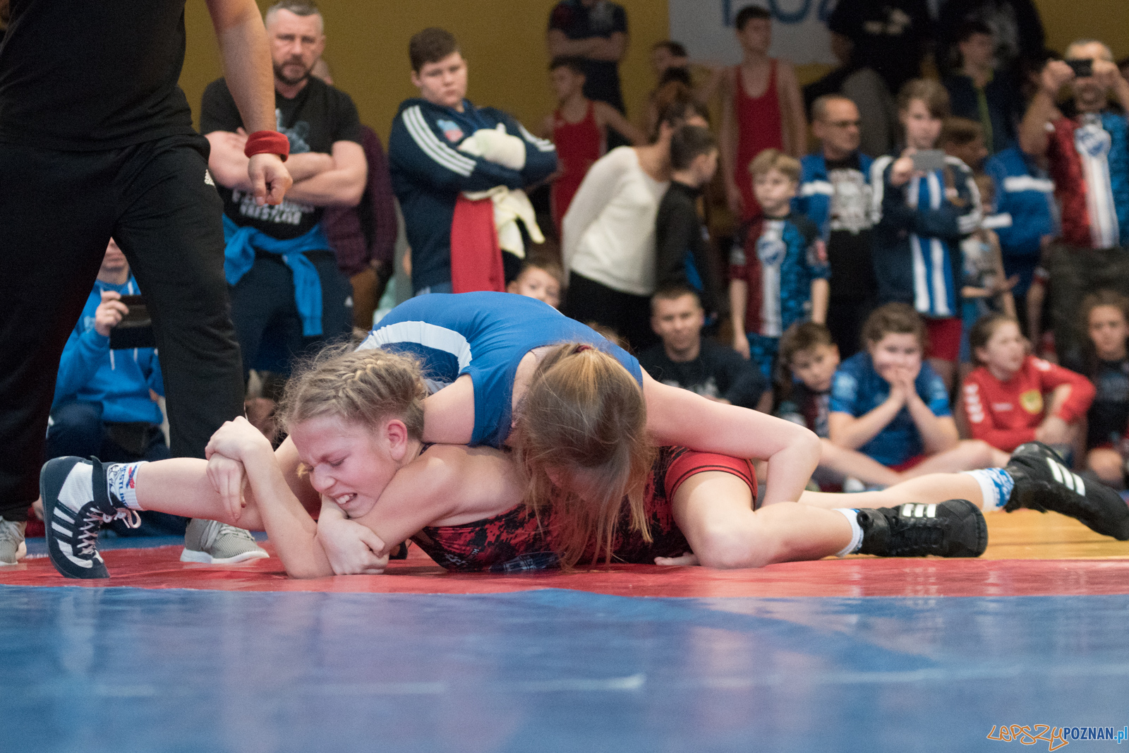 VII Memoriał Bogdana Brody - Zapasy Styl Klasyczny/Zapasy Kobie Foto: lepszyPOZNAN.pl / Ewelina Jaśkowiak VII Memoriał Bogdana Brody - Zapasy Styl Klasyczny/Zapasy Kobie Foto: lepszyPOZNAN.pl / Ewelina Jaśkowiak