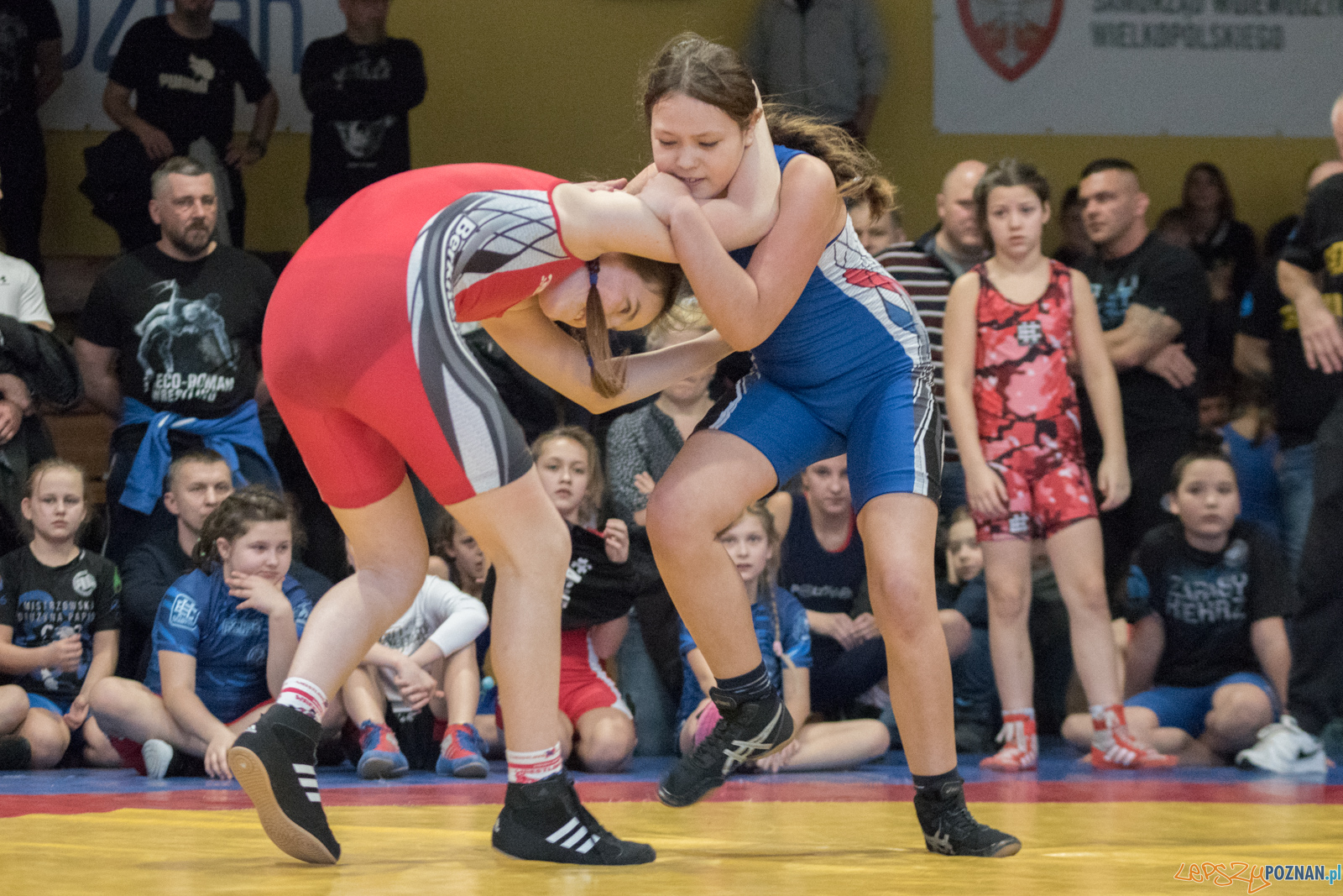 VII Memoriał Bogdana Brody - Zapasy Styl Klasyczny/Zapasy Kobie Foto: lepszyPOZNAN.pl / Ewelina Jaśkowiak VII Memoriał Bogdana Brody - Zapasy Styl Klasyczny/Zapasy Kobie Foto: lepszyPOZNAN.pl / Ewelina Jaśkowiak