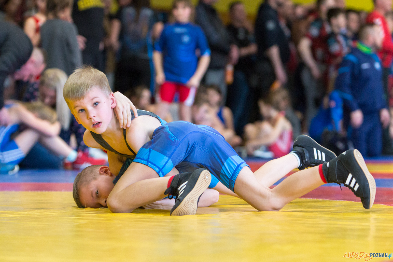 Mistrzostwa Miasta Poznania - VII Memoriał Bogdana Brody Foto: lepszyPOZNAN.pl/Piotr Rychter Mistrzostwa Miasta Poznania - VII Memoriał Bogdana Brody Foto: lepszyPOZNAN.pl/Piotr Rychter