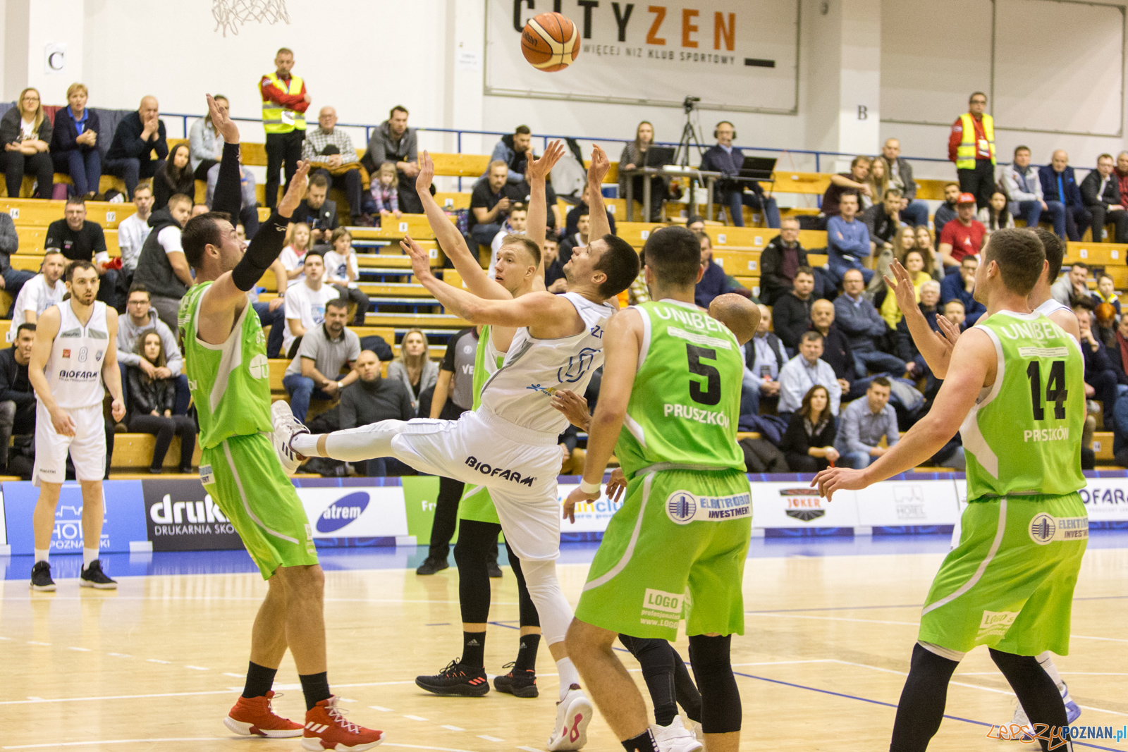 Biofarm Basket Poznań – Elektrobud-Investment ZB Pruszkow 45: Foto: LepszyPOZNAN.pl / Paweł Rychter Biofarm Basket Poznań – Elektrobud-Investment ZB Pruszkow 45: Foto: LepszyPOZNAN.pl / Paweł Rychter